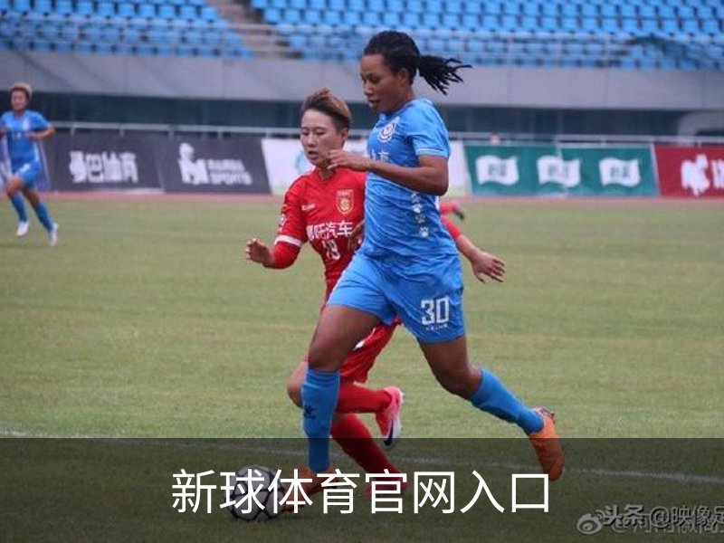 了解新球体育官网入口